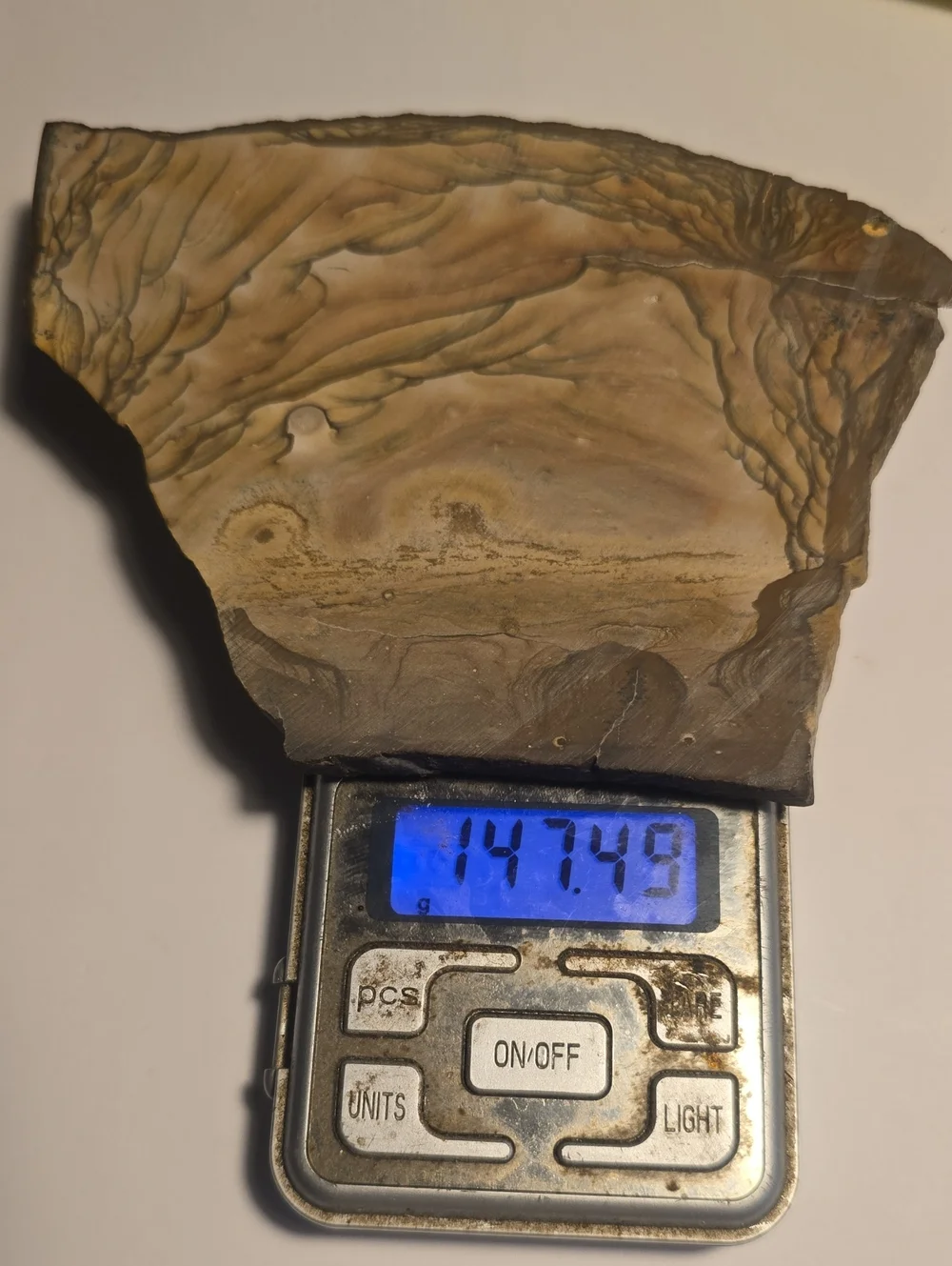 Old Stock Biggs Oregon Picture jasper Slab 147.49g